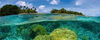 Coral Reef Vlies Fotobehang 375x150cm 5-banen