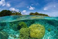 Coral Reef Vlies Fotobehang 375x250cm 5-banen