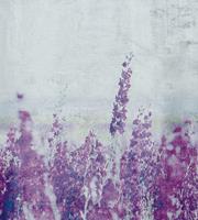 Dimex Lavender Abstract Fotobehang 225x250cm 3-banen