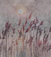 Dimex Reed Abstract Fotobehang 225x250cm 3-banen