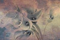 Dimex Flower Abstract I Fotobehang 375x250cm 5-banen