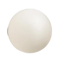 Artemide Dioscuri Ceiling Light/ Wall Lamp 250