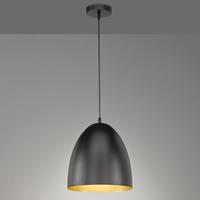 FISCHER & HONSEL Hanglamp Mylon, zwart/goud, half ovaal