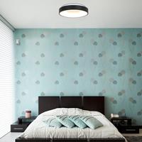 Steinhauer LED Deckenleuchte Ringlede in Schwarz 30W 2800lm