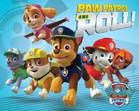 Paw Patrol On a Roll Poster 50x40cm