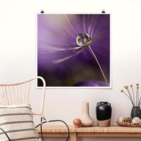 Klebefieber Poster Pusteblume in Violett