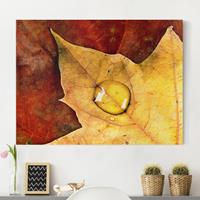 Klebefieber Leinwandbild Natur & Landschaft Magical Leaf