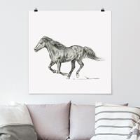 Klebefieber Poster Wildpferd-Studie - Stute