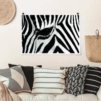 Klebefieber Poster Zebra Crossing