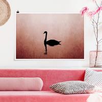 Klebefieber Poster Schwan im Sonnenuntergang