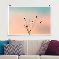 Klebefieber Poster Tiere Vögel vor rosa Sonne II