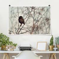 Klebefieber Poster Eule im Winter