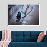 Klebefieber Poster Kolibri im Winter