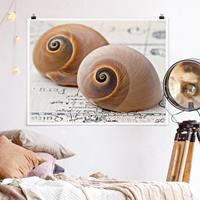 Klebefieber Poster Muschelduo