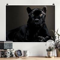 Klebefieber Poster Black Puma