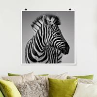 Klebefieber Poster Zebra Baby Portrait II