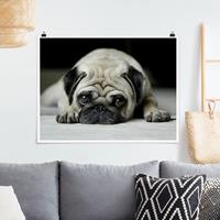 Klebefieber Poster Pug Loves You