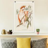 Klebefieber Poster Vintage Illustration Rosa Kakadu