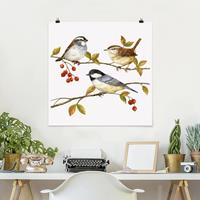 Klebefieber Poster Vögel und Beeren - Meisen