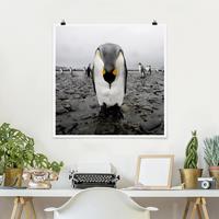 Klebefieber Poster Pinguin