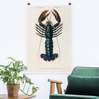 Klebefieber Poster Vintage Lehrtafel Blauer Hummer