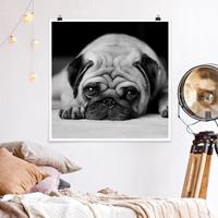 Klebefieber Poster Pug Loves You II