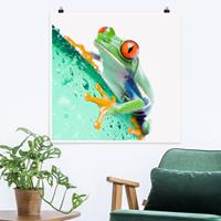 Klebefieber Poster Frog