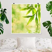 Klebefieber Poster Green Ambiance I