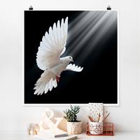 Klebefieber Poster Holy Dove