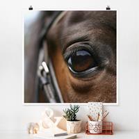 Klebefieber Poster Horse Eye No.3