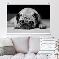 Klebefieber Poster Pug Loves You II