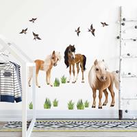Klebefieber Wandtattoo Kinderzimmer Animal Club International - Set Pferde