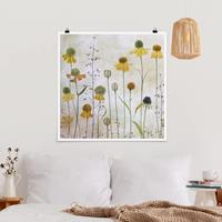 Klebefieber Poster Zarte Helenium Blüten