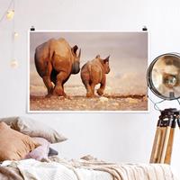 Klebefieber Poster Wandering Rhinos