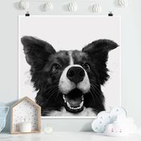 Klebefieber Poster Illustration Hund Border Collie Schwarz Weiß Malerei