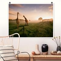 Klebefieber Poster Surreal Giraffes