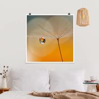 Klebefieber Poster Pusteblume in Orange