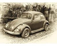 Papermoon Beetle Retro Car Vlies Fototapete 500x280cm 10-Bahnen