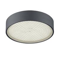 BANKAMP Drum LED plafondlamp, mat antraciet