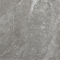 Alaplana Vloertegel  P.E.Tenby Slipstop Anthracite 60x60 cm Antraciet 
