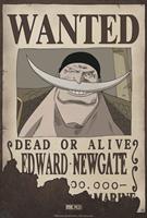 One Piece Wanted Edward Newgate Poster 35x52cm