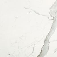 Italgraniti Marble Experience Vloer- en wandtegel 60x60cm 9.5mm gerectificeerd porcellanato Statuario 1540242