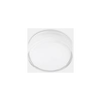 LEDS·C4 Leds-C4 Vetro - Badezimmer LED Round Flush Deckenleuchte Weiß 25,1 cm 2400lm 3000K IP44