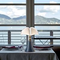 Martinelli Luce Minipipistrello tafellamp bruin