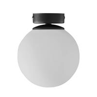 Euluna Plafondlamp Celeste met bolkap, 1-lamp
