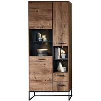 LOMADOX Industrial Vitrine in Haveleiche Cognac mit graphit MINNEAPOLIS-55 inkl. LED-Unterbaubeleuchtung, B/H/T ca: 79/196/38 cm