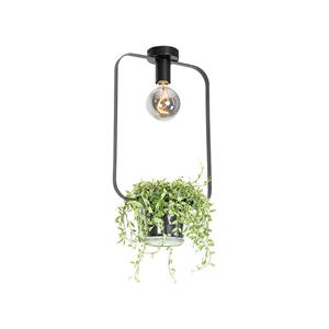 QAZQA Plafondlamp roslini - Zwart - Modern - L 29cm