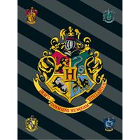 Kuscheldecke Harry Potter HP067 - Fleecedecke, blue sky, 100 x 150 cm bunt