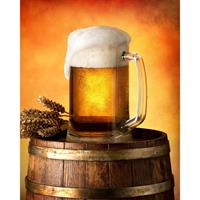 Bier Fleece Deken Bierpul - 120 X 150 Cm - Polyester