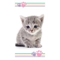 Animal Pictures Strandlaken Kitten - 70 X 140 Cm - Katoen